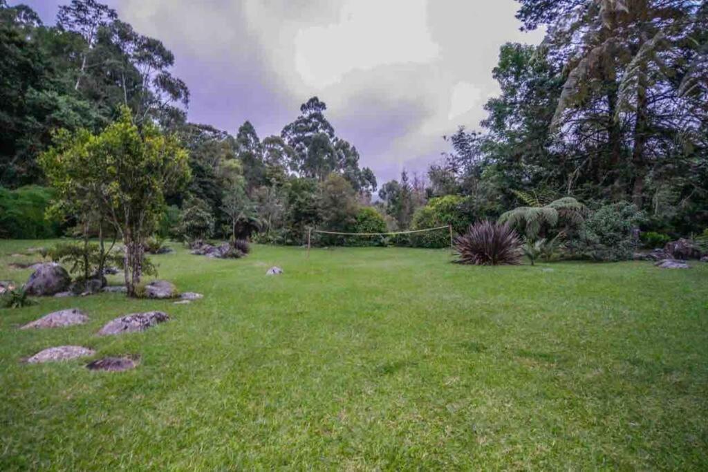 Vila Finca Punta De Piedra Salento, Quindio Exteriér fotografie