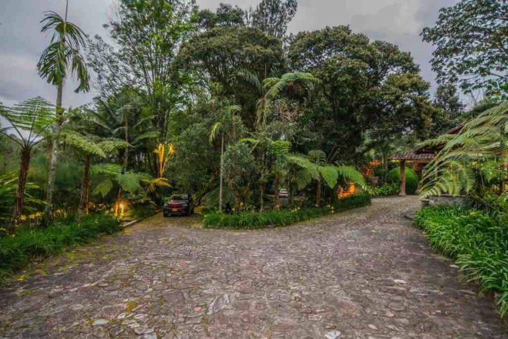 Vila Finca Punta De Piedra Salento, Quindio Exteriér fotografie